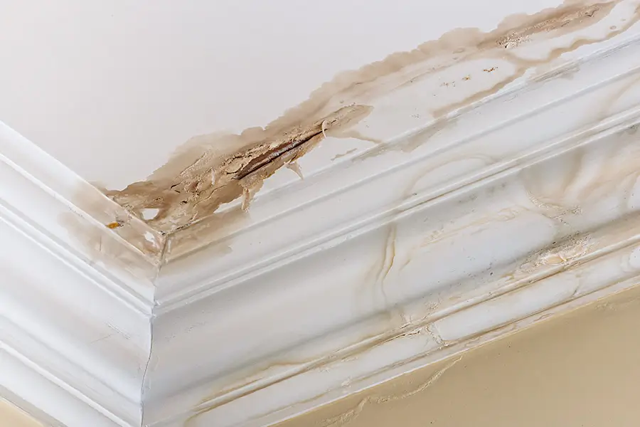 Eight Common Plumbing Myths You Should Stop Believing in Greenfield, Indiana