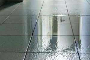 Six Signs You Need To Call a Plumber in Noblesville, IN