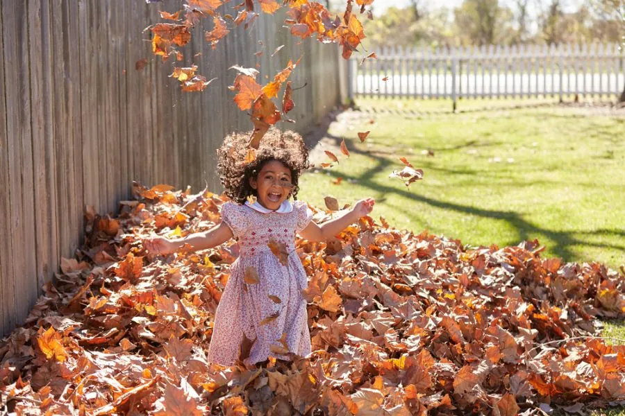 Toddler,Kid,Girl,Playing,With,Autumn,Leaves,Latin,Ethnicity